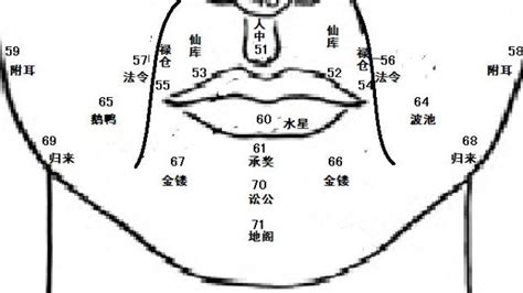 福鼻 面相|麦玲玲面相讲座之 鼻子 – 人相学